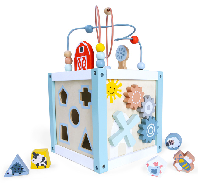 Drewniana kostka edukacyjna sorter +klocki Ecotoys