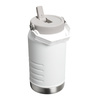 Stanley Bidon Sportowy Iceflow™ Flip Straw 1.9l Frost