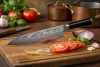 Samura Damascus Nóż Szefa Kuchni 240mm AUS-10 SD-0087