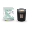 Świeca zapachowa 180g Pur Lin - Esteban