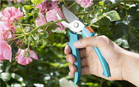 Zestaw narzędzi ogrodniczych z konewką - Gardena
