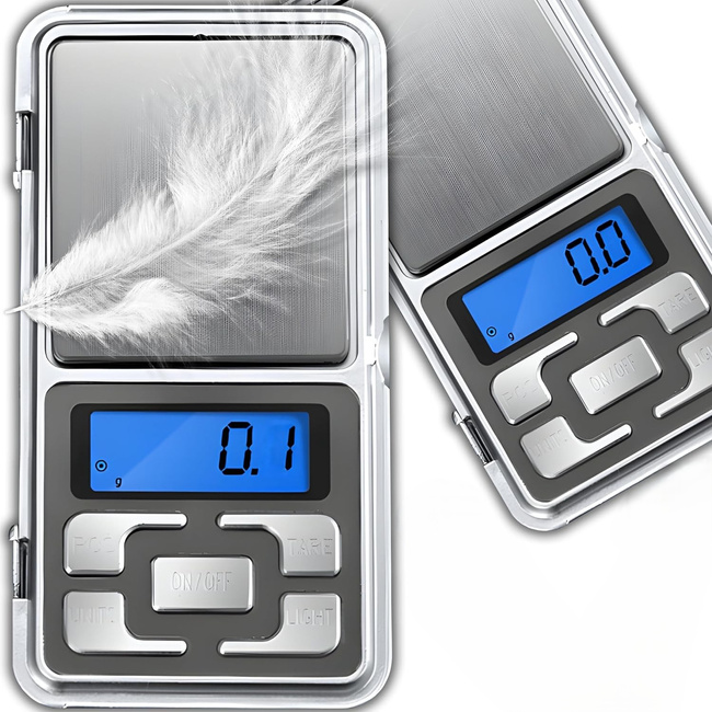Extralink Home P10 | Waga jubilerska | 100g/0,01g