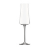 Kieliszek do szampana Alessi 200 ml