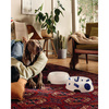 miski dla psów do karmienia 1,2l Alessi