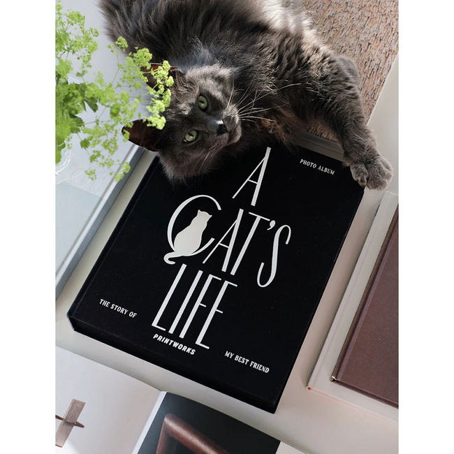 Album na zdjęcia kota Printworks A Cat's Life XL, czarny, 60 stron