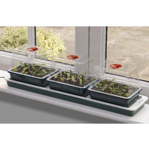 Mini szklarnia Trio - podgrzewany propagator Garland