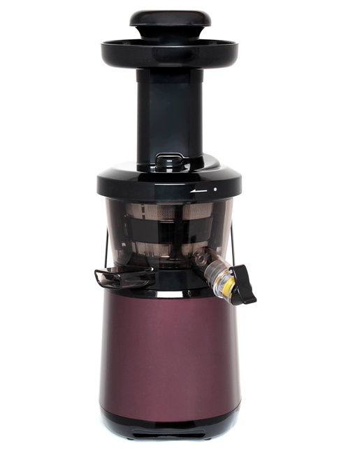 Wyciskarka wolnoobrotowa pionowa do soków Greenis F-9010 srebrna 150W 65obr/min BLDC