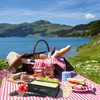 Swissmar Raclette Skladane Nordic