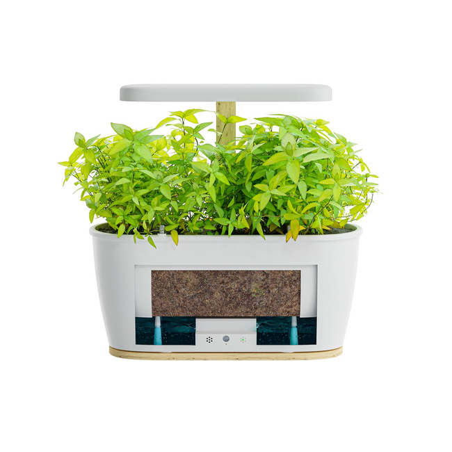 Extralink Smart Garden - Inteligentna Doniczka - Wi-Fi, Bluetooth