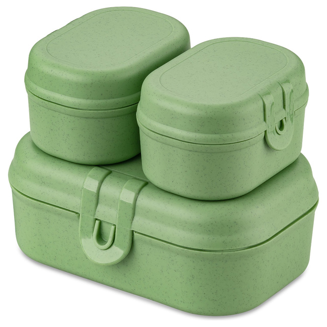 Lunch Box Set Pascal Ready Mini Green 7151703 - Koziol