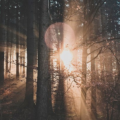 Zapas Do Dyfuzora 200ml. Velvet Wood - Cereria Molla