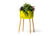 Kwietniki domowe 77 x 50 x 38 cm, zielone