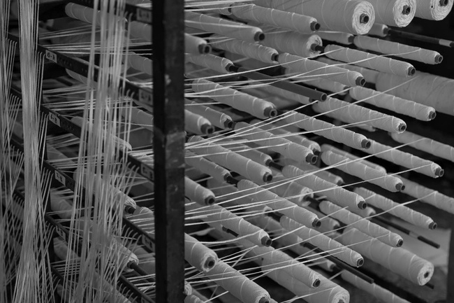 Świeca premium 230gr. Velvet wood - Cereria Molla