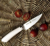 Fissman Magnum Nóż Kuchenny Uniwersalny 9 cm