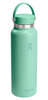 Butelka termiczna Hydro Flask Wide Mouth 40 oz z zakrętką Flex Cap, Mermaid Green