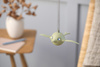 Hoptimist Soft Birdie S Olive 29529 - Hoptimist