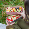 Bento lunchboxy 1.2L Rose Moka