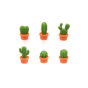 Magnesy Cactus pomarańcz/ziel - Qualy