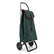 I-Max Wild 2 Verde Rolser wózek na zakupy dwukołowy 43 l 25 kg