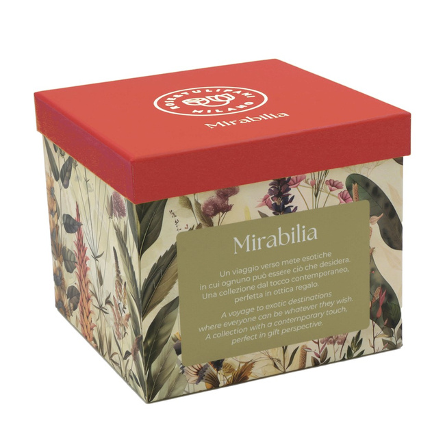 Rose&tulipani Mirabilia Tea4one Ze Spodkiem 300 ml, Czerwony