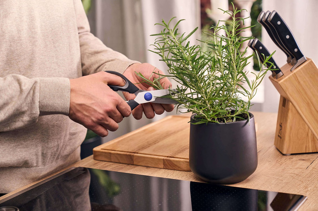 Henckels by Zwilling Everyday Zestaw 5 noży w bloku samoostrzącym