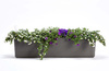 Berberis Donica Samonawadniająca Prostokątna 80 x 20 Cm, Szaro-Brązowy - Urbalive