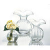 Wazon transparentny H14 cm Ivv