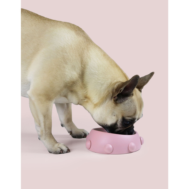 miski dla psów i kotów do podawania pokarmu 160 ml boss nano różowe - united pets