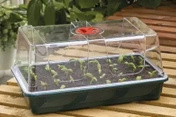 Duży propagator Garland