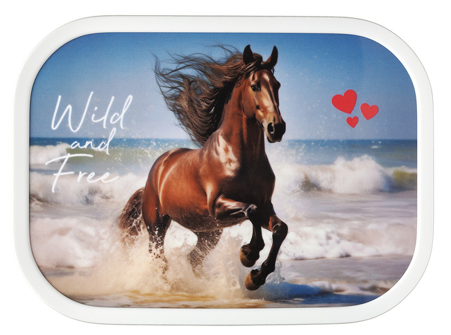 Lunchbox Campus Wild Horse 107440065401 - Mepal