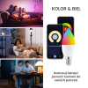 Extralink Smartlife | Żarówka LED | E14 C37 2700-6500K WiFi 220-240V, Tuya
