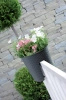 Doniczka Ratolla Oval DRLB300 antracytowa - Prosperplast