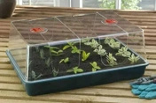 Bardzo duży propagator Garland