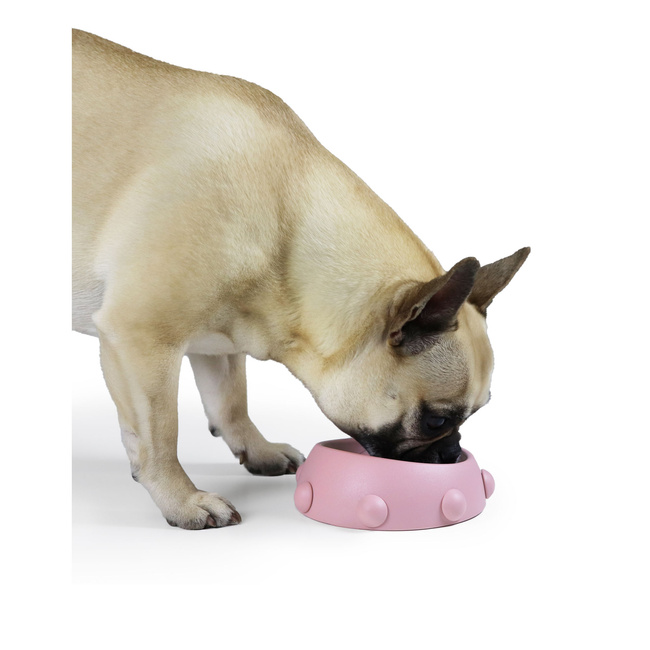 miski dla psów i kotów do podawania pokarmu 160 ml boss nano różowe - united pets