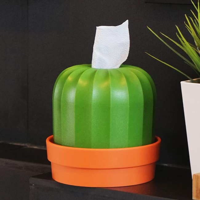 Pojemnik na chusteczki i papier toaletowy Qualy Cactiss, biało-zielony