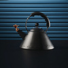 Czajnik z gwizdkiem, Ptaszek, Czarny mat 9093 - Alessi