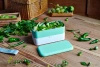 Lunchbox Bento Original 19x10 cm miętowy