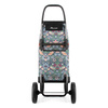 I-Max William Morris 2LRsg Birds - Rolser