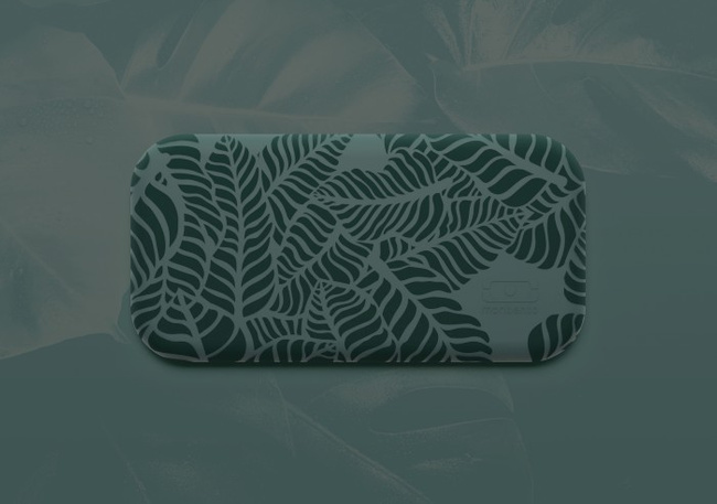 Lunchbox Bento Original, Graphic Jungle - Monbento