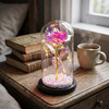 Extralink Home | Wieczna Róża W Szkle | Świecąca Led Różowa