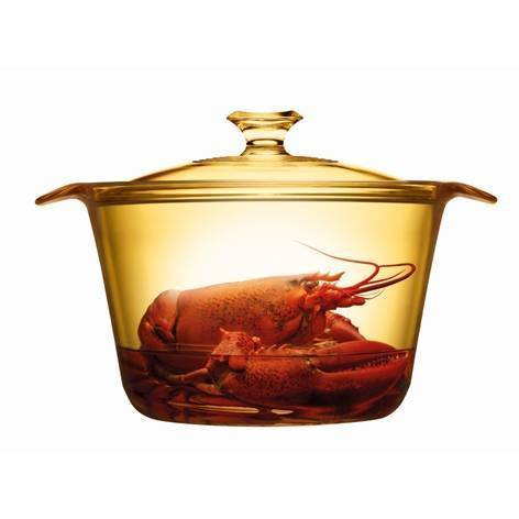 FLAIR VISIONS Garnek szklany z pokrywką 5.5l - Outlet