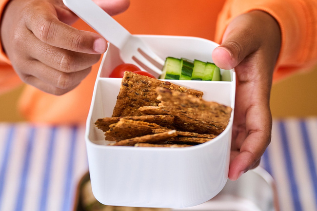 Lunchbox stalowy dla dzieci Mepal Campus Dino, 750 ml, z dinozaurami