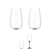 Kieliszki do wina musującego Trebonn SplitGlass Origini Trento, czarne, 560 ml, 2 szt.