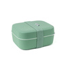 Lunchbox 3 W 1 - Sage