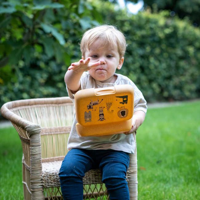 Lunchbox dziecięcy Candy L Harry - Koziol