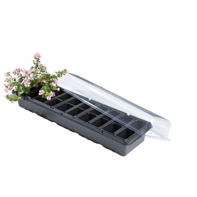Szklarnia na parapet Garland Windowsill Greenhouse z pokrywą