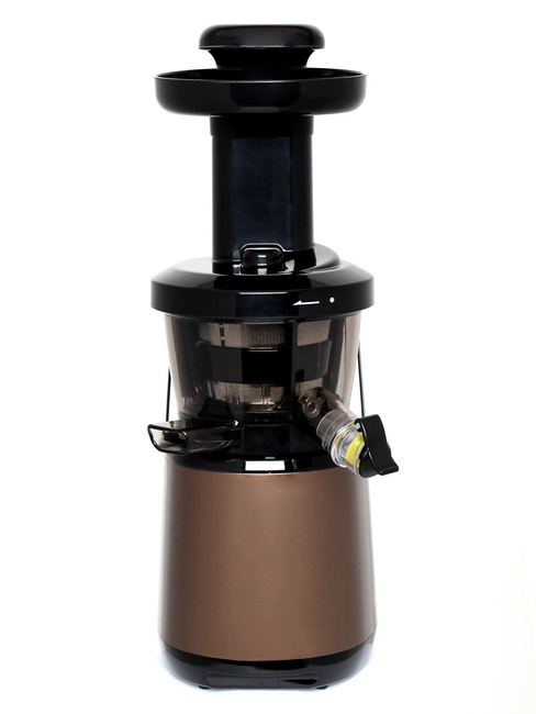 Wyciskarka do soków Greenis F-9010 wolnoobrotowa pionowa srebrna 150W 350ml BLDC