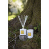 Dyfuzor Zapachowy 150ml - Grapefruit & Pomelo - Max Benjamin