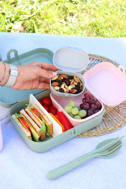 Zestaw 3 Lunchboxów Ze Sztućcami Pascal Ready Organic Szary 3168668 - Koziol