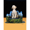 Legowisko dla psa New York z matą 70 x 50 cm szare United Pets